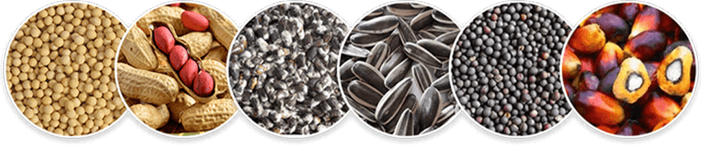cooking oil production line for multiple oilseeds